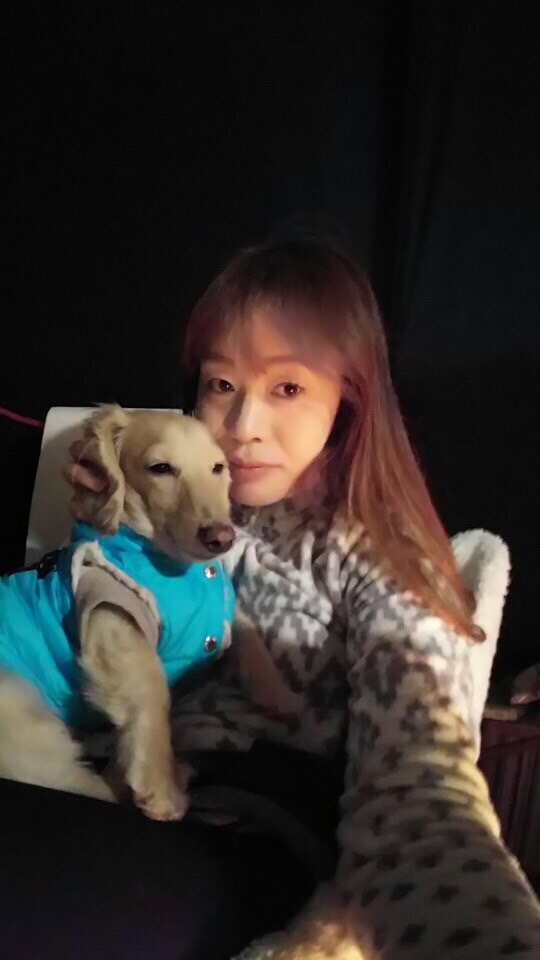 해자연캠핑장 이미지