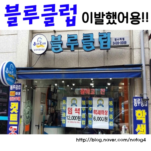 블루클럽 이미지