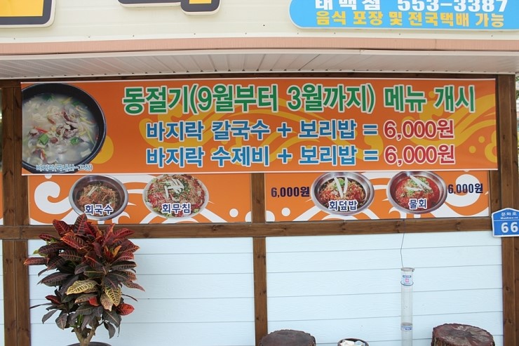 신기한물회나라 이미지