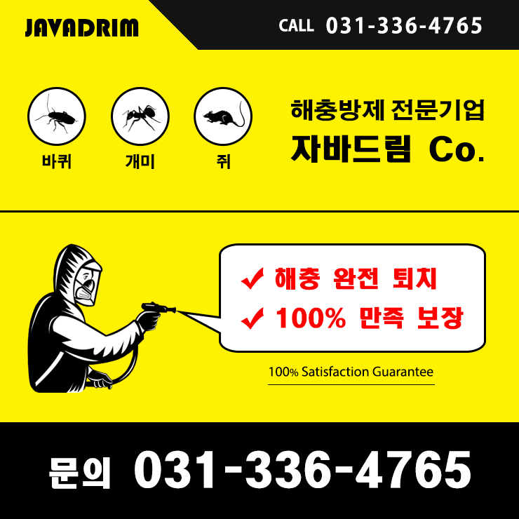 자바드림 이미지