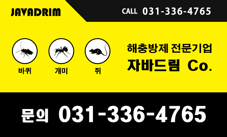 자바드림 이미지