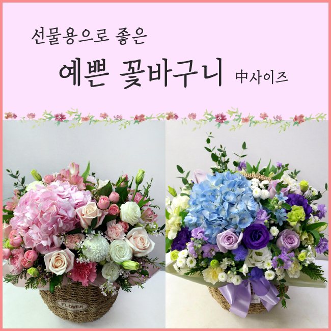 지소플라워 이미지