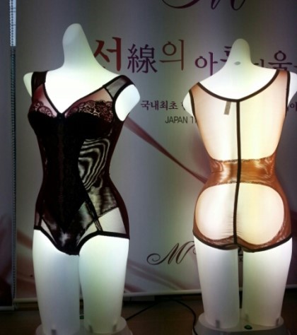(주) 미젤 이미지