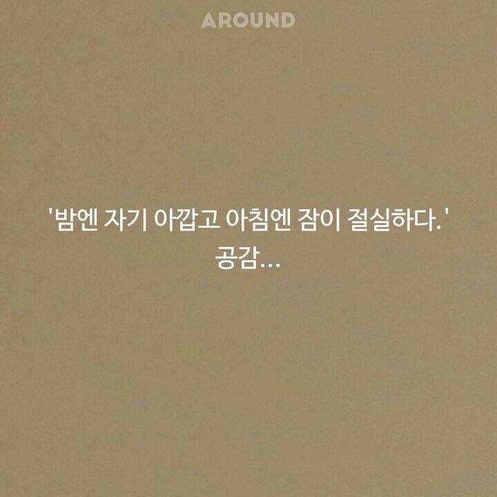 홍콩야식 이미지