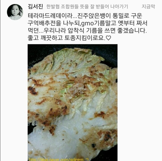 테라마드레 이미지