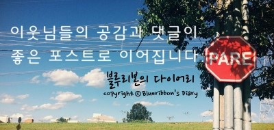 빠다리아 이미지
