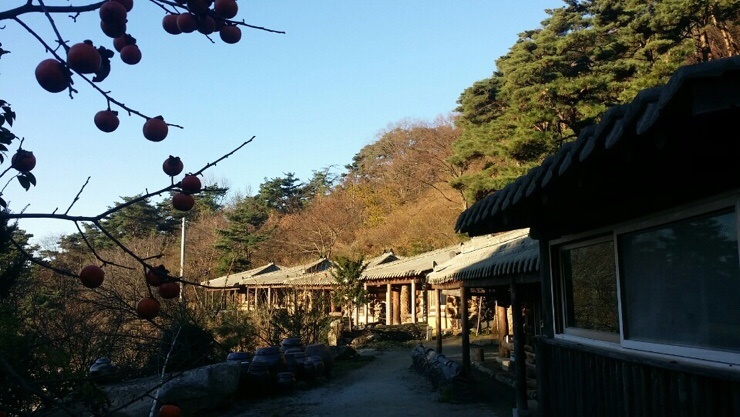 축령산휴림 이미지