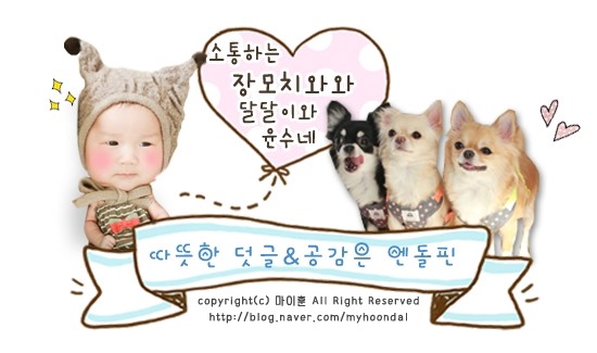 울룰라 이미지