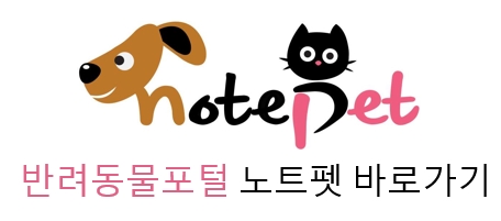 콩볶는야옹이 이미지