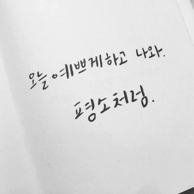 오늘도예쁘게 이미지