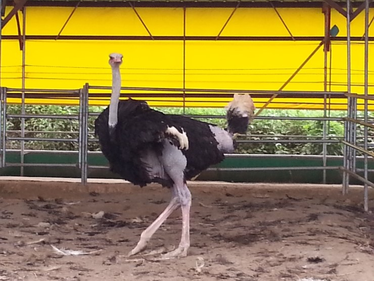 한길농장 이미지