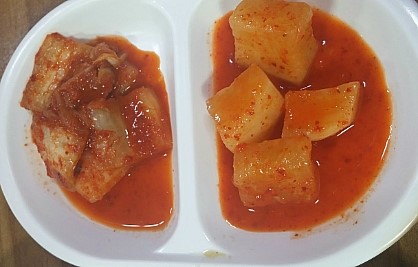 배꼽시계집 이미지