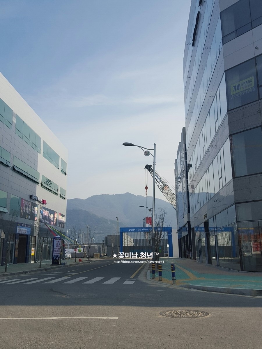 리더스코아 이미지