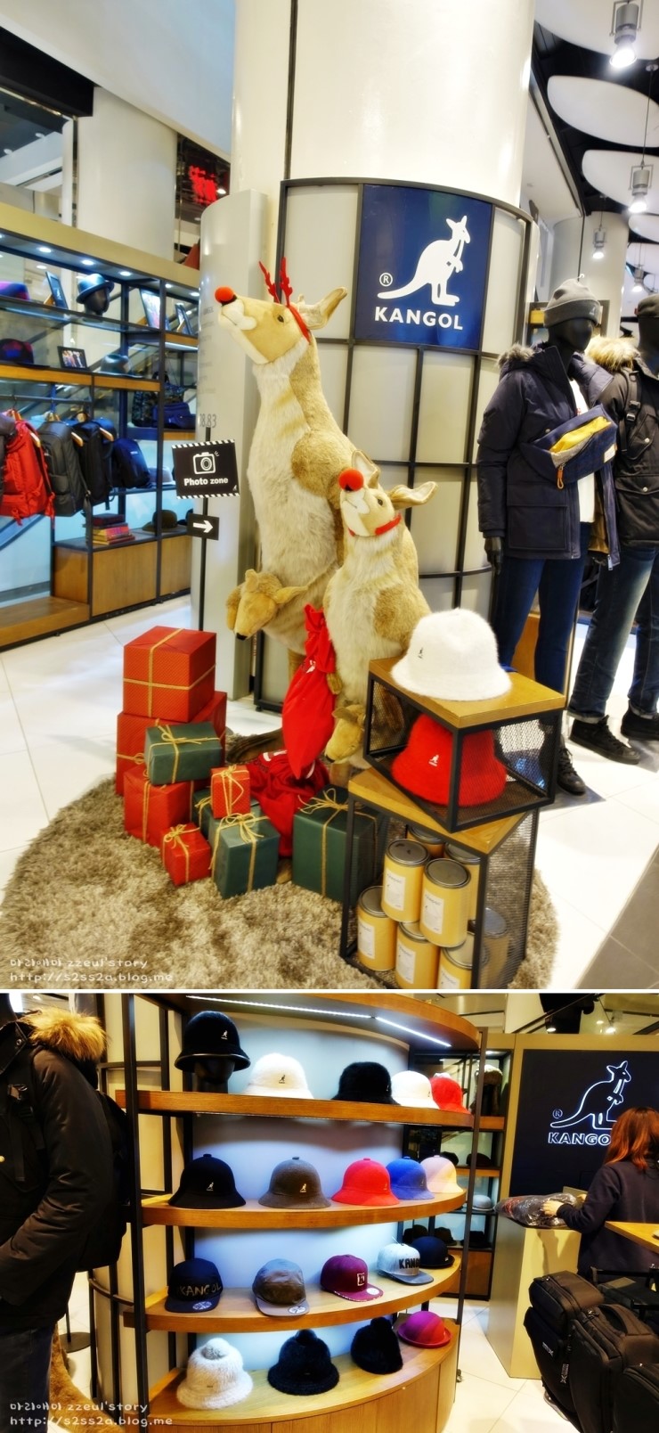 캉골현대디큐브 이미지