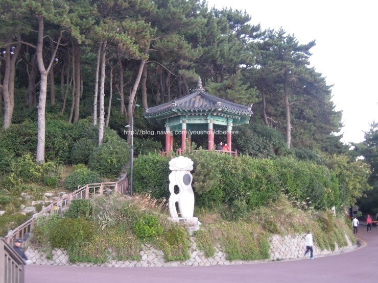 자갈치부산어묵 이미지