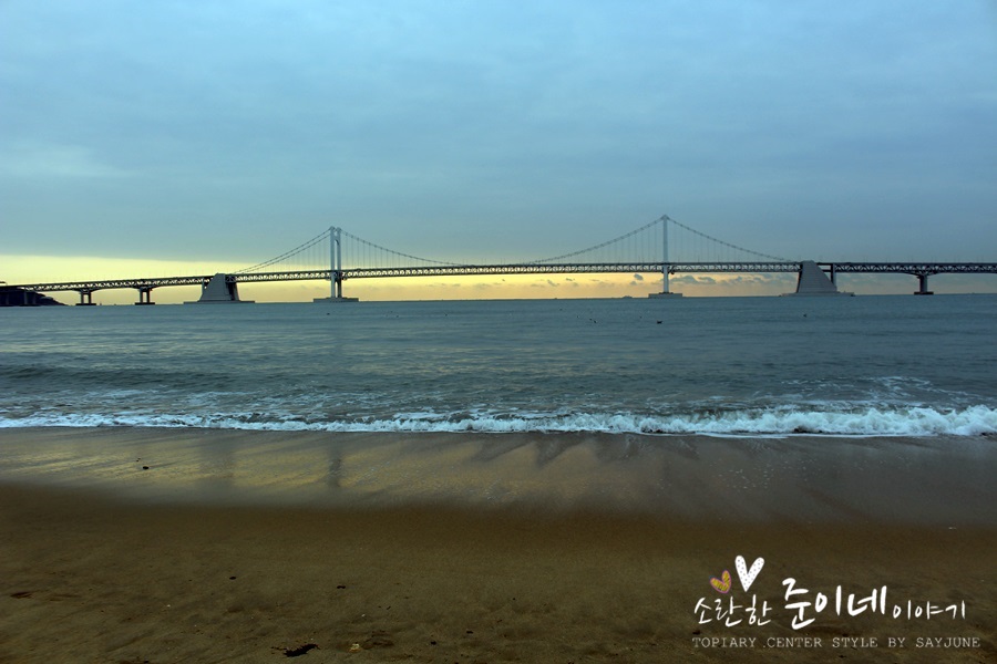 맑은 바닷가 이미지