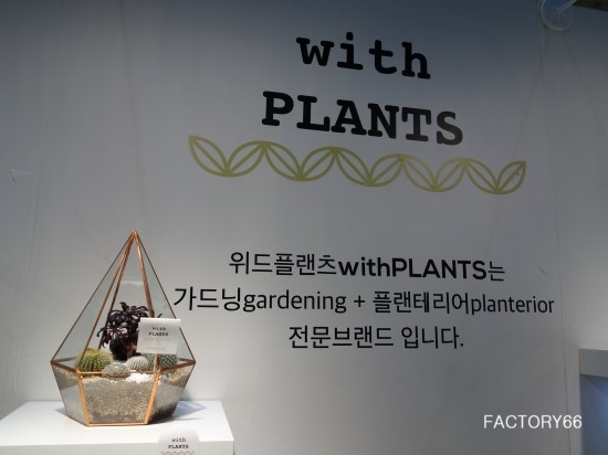 위드플랜츠 이미지
