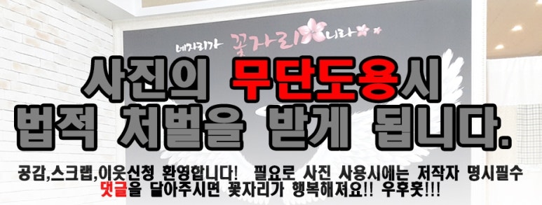 싸다공 이미지