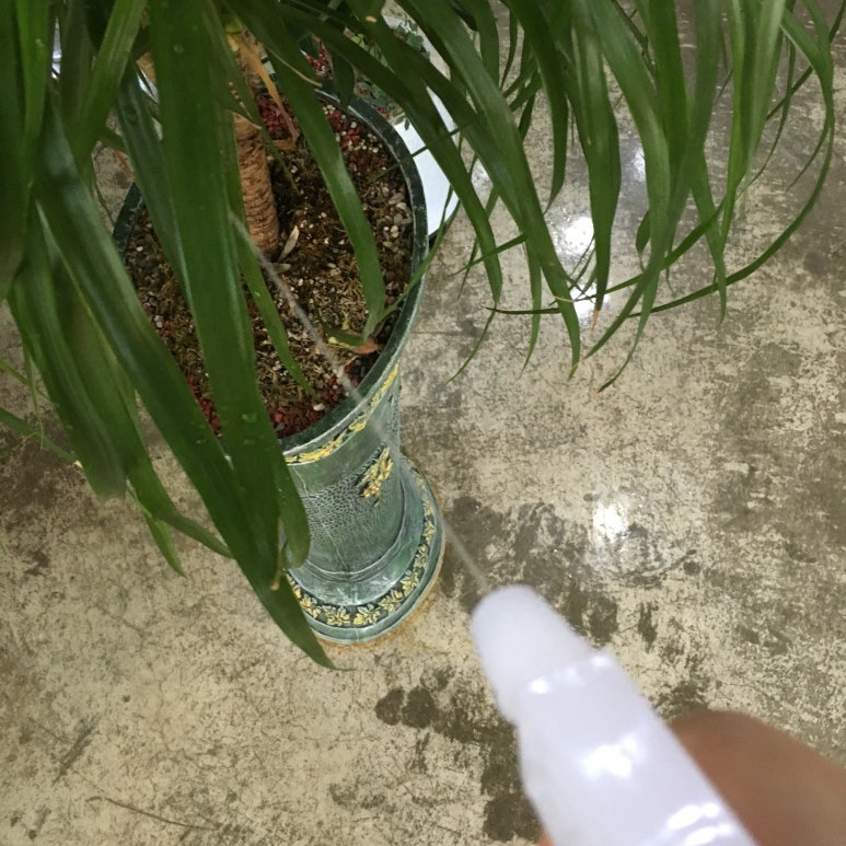 싸다공 이미지