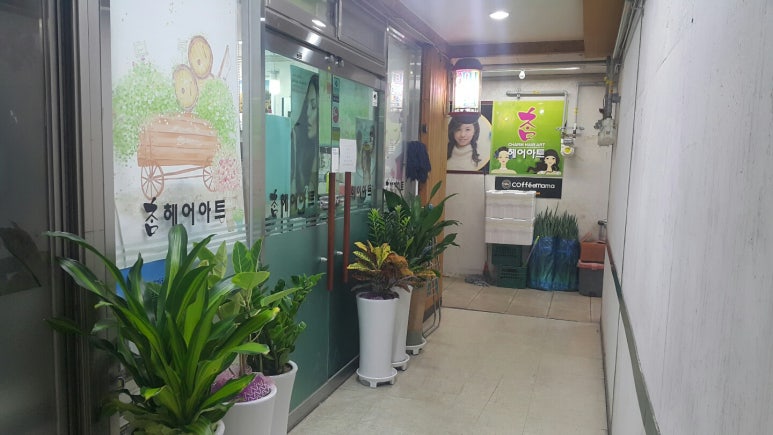 아미가헤어 이미지