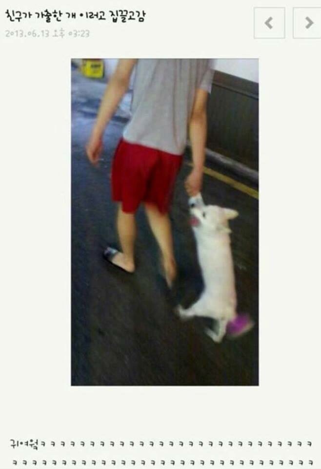 네네치킨피자 이미지