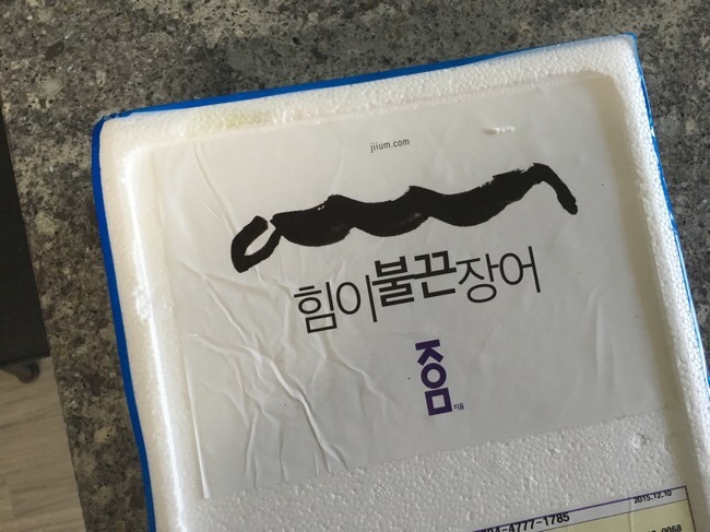 힘이불끈장어 이미지