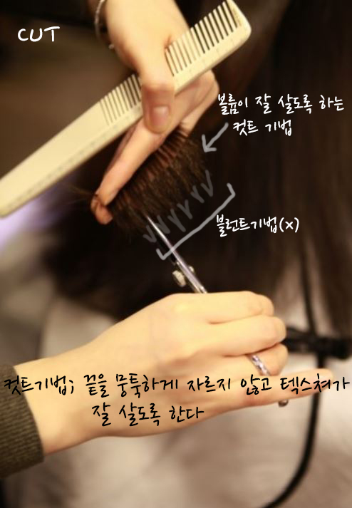 컷트랑빠마랑 이미지