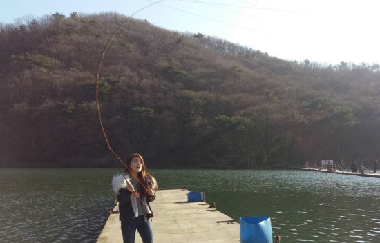 스파이더플라이 이미지