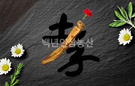백년가족인삼 이미지