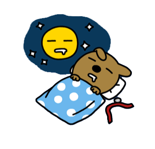 대구코션 이미지