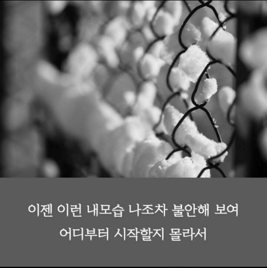 비상청춘 이미지