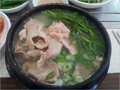돼지가그냥조아 이미지