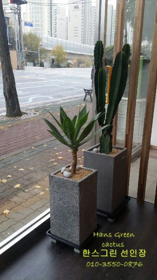 청용각 이미지