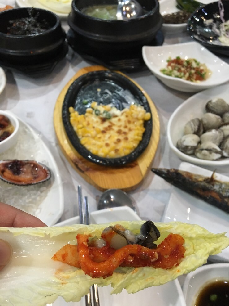 신황금어장 이미지