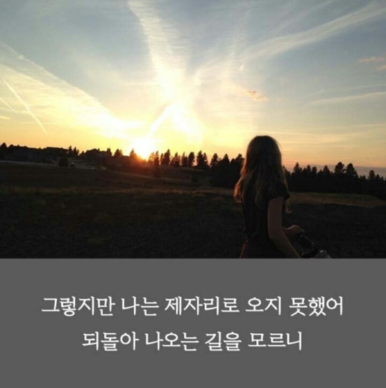 비상청춘 이미지