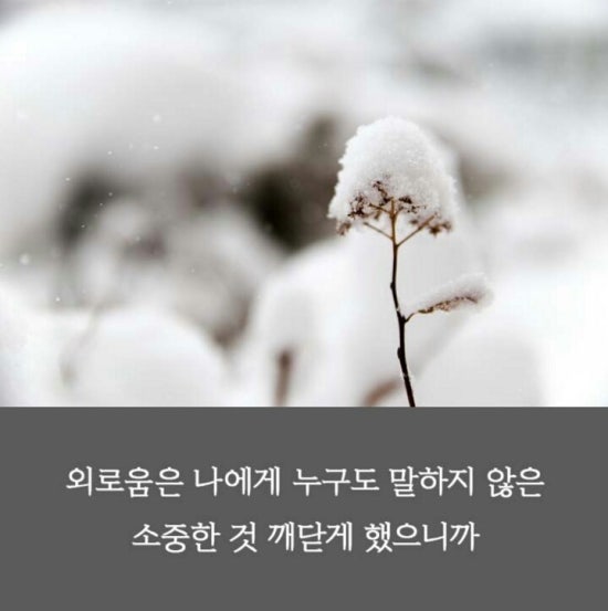 비상청춘 이미지