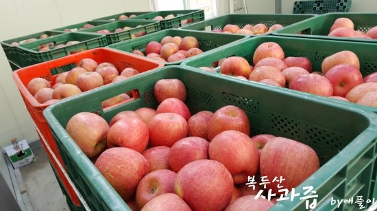 현이농원 이미지