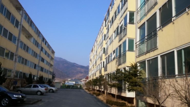 동해규수방 아파트 강원 동해시 실거래가 시세 4,300만