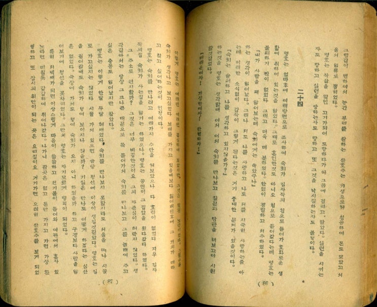 대지사 이미지