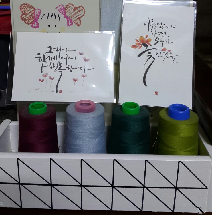 신디다육 이미지