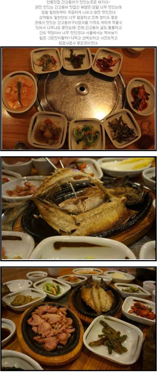 도새기짱 이미지
