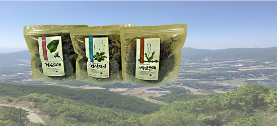 농업회사법인 주식회사 담은 이미지