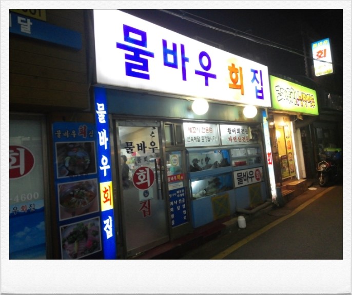 물바우 이미지