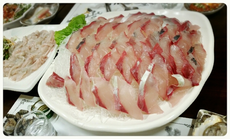 독도회 이미지