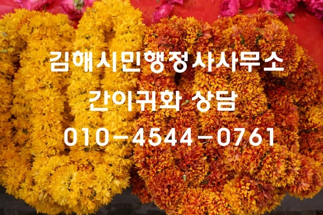 김해이민행정사사무소 이미지