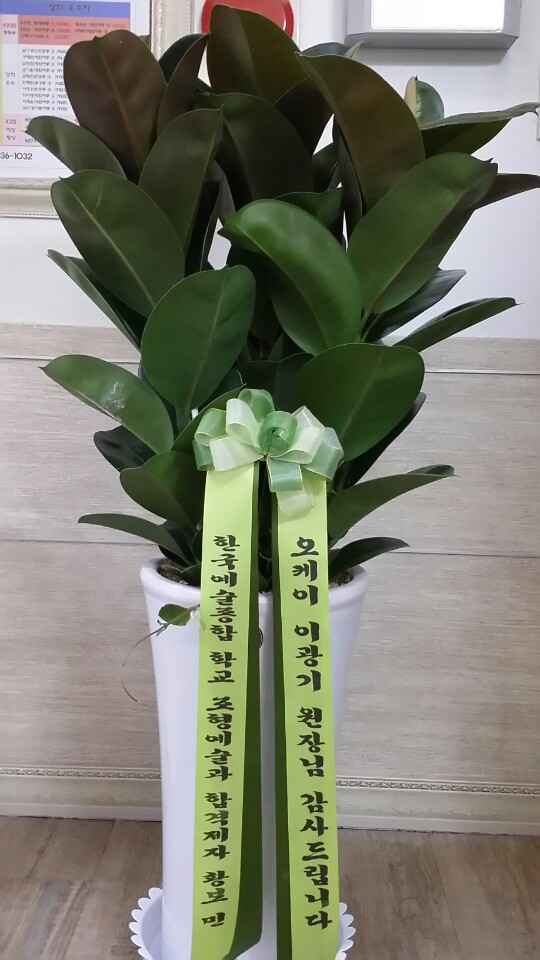 전과목의영광학원 이미지