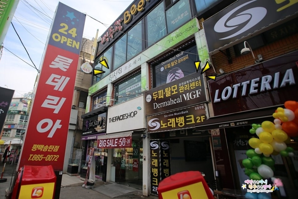 한선화 프로헤어 이미지
