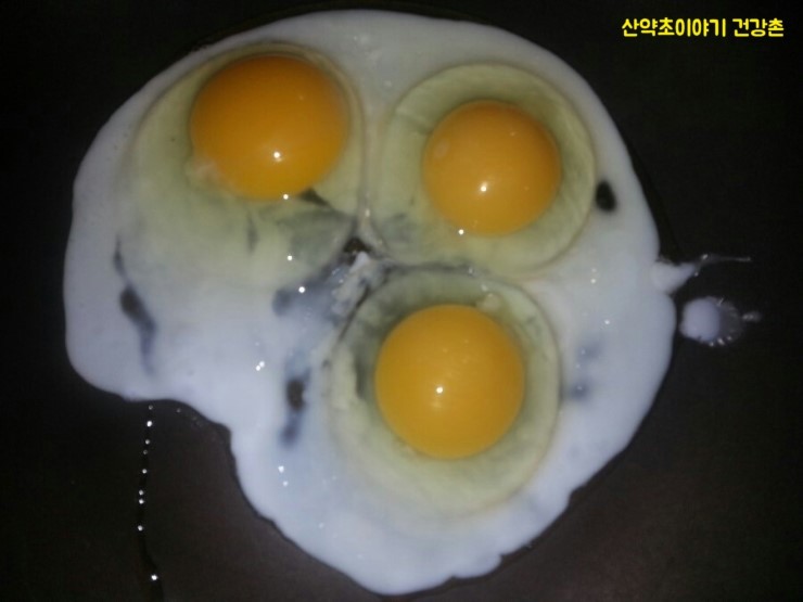 산약초이야기 이미지
