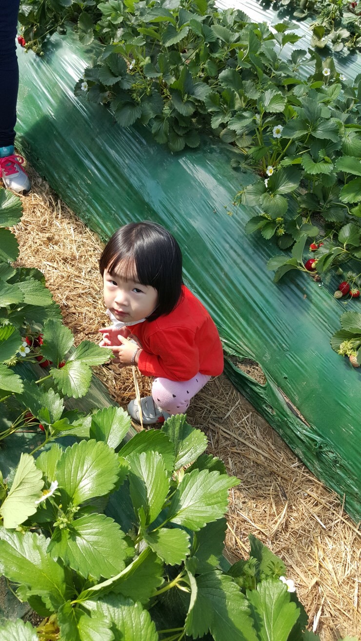 꽃뫼농원 이미지