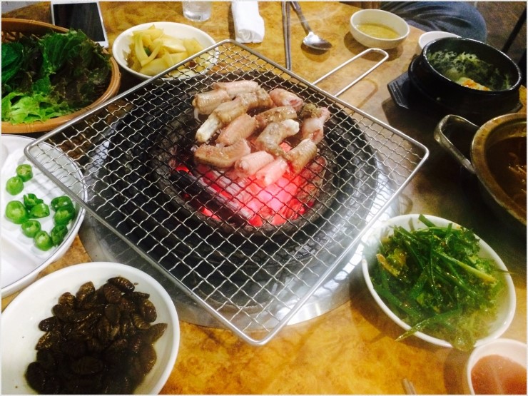 기장꼼장어 이미지